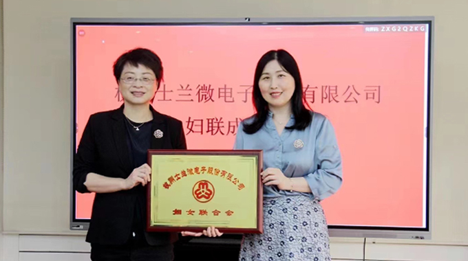 新葡京平臺(tái)微電子?jì)D女聯(lián)合會(huì)正式成立