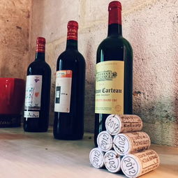 法國之光2019 法國葡萄酒探索之旅